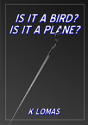 Is It A Bird? Is It A Plane?