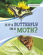 Is It A Butterfly Or A Moth? - Preview
