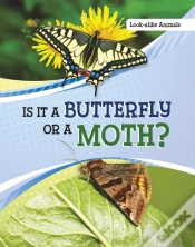 Capa do artigo Is It A Butterfly Or A Moth?