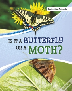 Capa do artigo Is It A Butterfly Or A Moth?