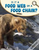 Is It A Food Web Or A Food Chain?