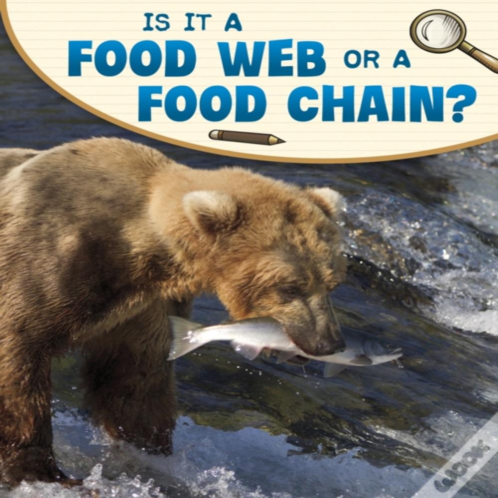 Is It A Food Web Or A Food Chain?