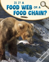 Is It A Food Web Or A Food Chain?