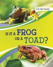 Is It A Frog Or A Toad?