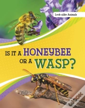 Capa do artigo Is It A Honeybee Or A Wasp