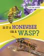 Is It A Honeybee Or A Wasp? - Preview