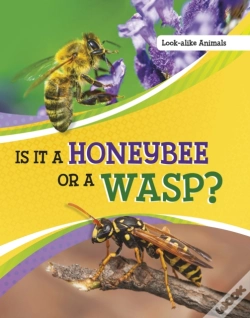 Capa do artigo Is It A Honeybee Or A Wasp?
