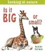 Is It Big Or Small? - Preview