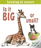 Capa do artigo Is It Big Or Small?