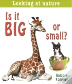 Capa do artigo Is It Big Or Small?