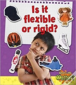 Capa do artigo Is It Flexible Or Rigid?