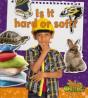 Is It Hard Or Soft? - Preview