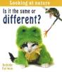 Is It Same Or Different - Preview