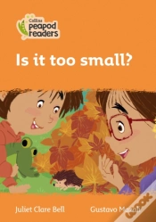 Capa do artigo Is It Too Small?