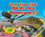 Is It True That Birds Are Dinosaurs?