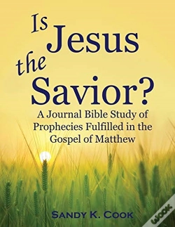 Capa do artigo Is Jesus The Savior : A Journal Bible St