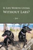 Is Life Worth Living Without Labs?