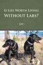 Is Life Worth Living Without Labs? - Preview