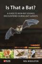 Is That A Bat? - Preview