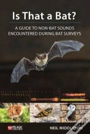Capa do artigo Is That A Bat?