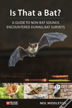 Capa do artigo Is That A Bat?