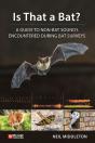 Is That A Bat? - Preview