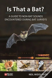 Capa do artigo Is That A Bat?
