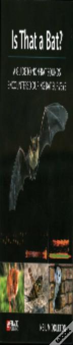 Is That A Bat?
