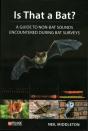 Is That A Bat? - Preview