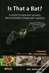 Is That A Bat?
