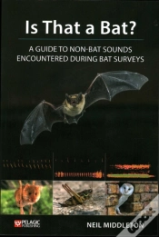 Capa do artigo Is That A Bat?