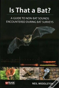 Capa do artigo Is That A Bat?