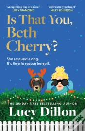 Capa do artigo Is That You, Beth Cherry?