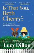 Is That You, Beth Cherry?