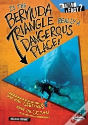 Capa do artigo Is The Bermuda Triangle Really A Dangerous Place?