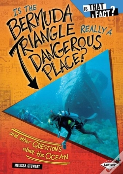 Capa do artigo Is The Bermuda Triangle Really A Dangerous Place?