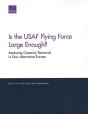 Is The Usaf Flying Force Large Enough? - Preview