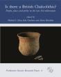 Is There A British Chalcolithic? - Preview