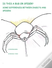 Is This A Bug Or Spider : Some Differenc
