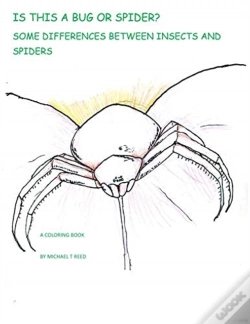 Capa do artigo Is This A Bug Or Spider : Some Differenc
