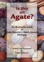 Is This An Agate? - Preview