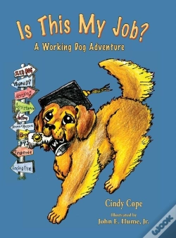 Capa do artigo Is This My Job?
