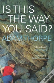 Capa do artigo Is This The Way You Said?