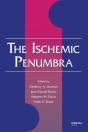 Ischemic Penumbra - Preview