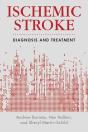 Ischemic Stroke - Preview