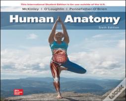 Ise Human Anatomy