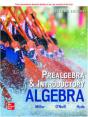 Ise Prealgebra & Introductory Algebra - Preview