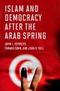 Islam And Democracy After The Arab Spring - Preview