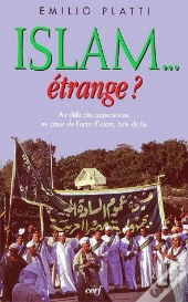 Islam Etrange ; Au-Dela Des Apparences Au Coeur De L'Acte D'Islam