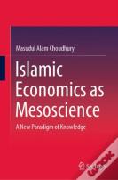 Islamic Economics As Mesoscience